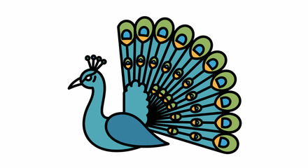 Fototapeta premium Colorful Peacock Bird Spread Feathers.