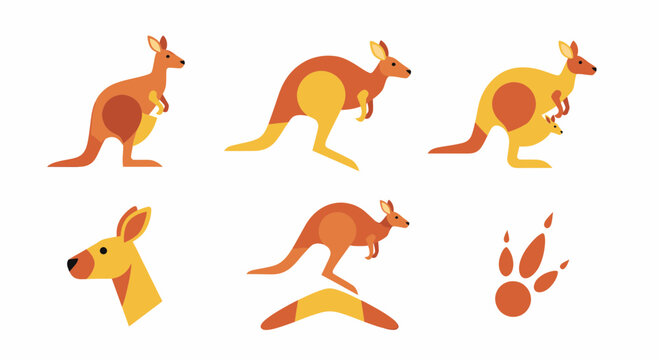 Collection of kangaroo illustrations side.