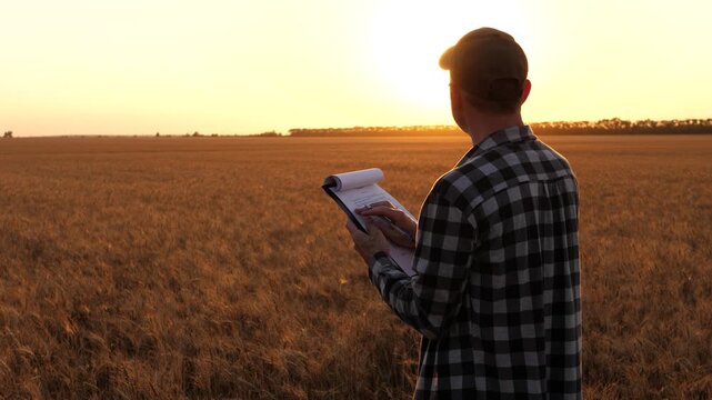 Farmer checking crop yield data at sunset. Agricultural expert analyzes field performance and growth metrics. Farmer writes in document. Rural landscape creates tranquil atmosphere, farming insights.