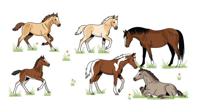 Collection of diverse horses and foals depicted in a charming, illustrative style