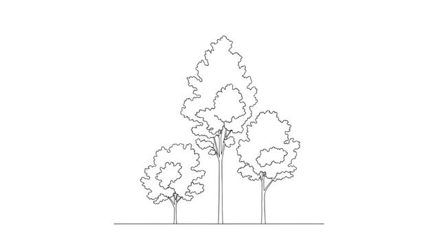 2D AutoCAD illustration of trees in a landscape scene outdoors