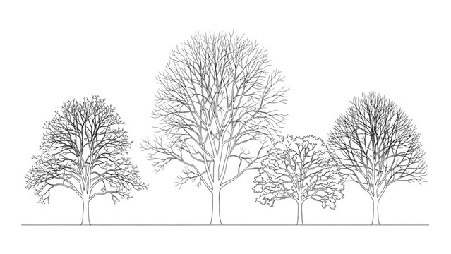 2D AutoCAD drawing of four bare trees on a landscape