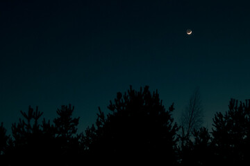 Peaceful night sky with a crescent moon and stars over the dark forest silhouette © Trik