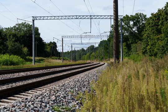 Railway tracks with an overhead contact system. Two pairs of rails passing through a dense wooded area. Support poles and wires are visible.