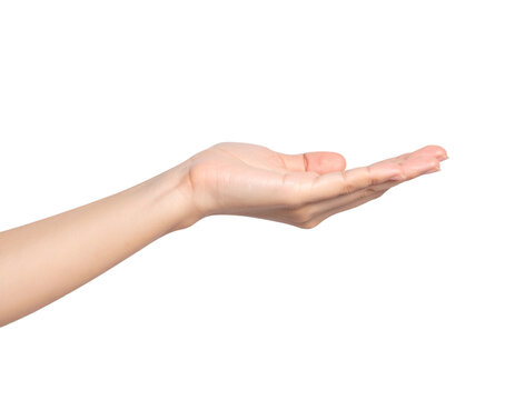 Young female flat hand holding something, Isolated on transparent or white backgrounds