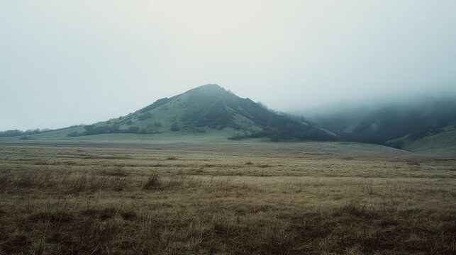 Fog drifting over green and golden rolling hills and a wide meadow, creating a moody, serene panorama under low, overcast cloudstranquil rural landscape with misty atmosphere