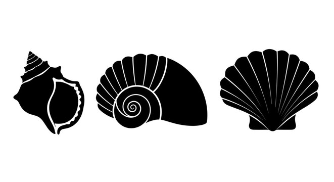 Collection of three distinct black seashell silhouettes on a white background
