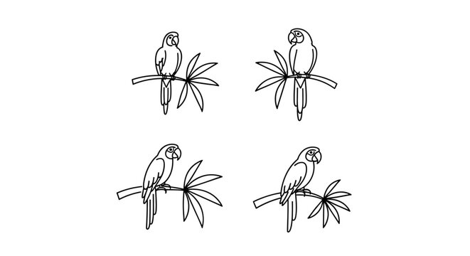 Four minimalist line art parrots perched on branches with tropical leaves