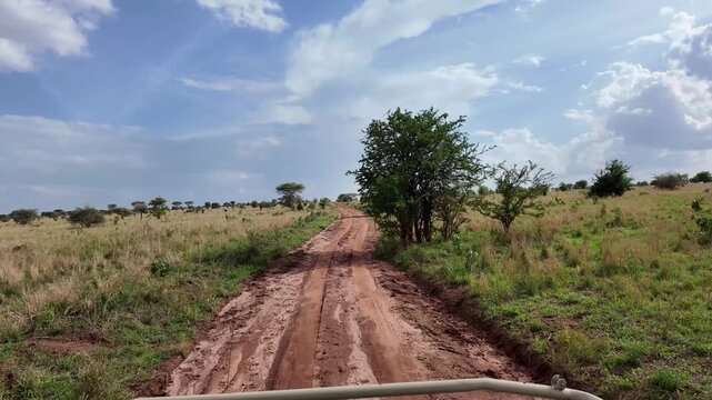 Safari Gel&auml;ndewagen f&auml;hrt durch den Tarangire Nationalpark in Tansania, Afrika