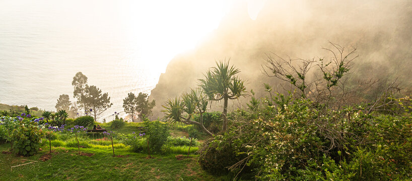 Sunlit coastal garden overlooking madeira cliffs and ocean mist | Zalany słońcem ogr&oacute;d przybrzeżny z widokiem na klify Madery i mgłę oceanu