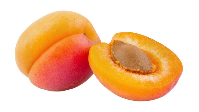 Ripe orange apricot fruit whole and halved showing seed