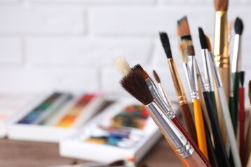 Fototapeta premium Different paint brushes on blurred background, closeup. Space for text