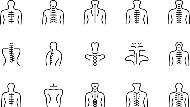 Line art icons of human spine, vertebrae, back health, orthopedic care, and spinal column anatomy