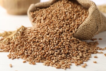 Obraz premium Overturned sack with wheat grains on white table, closeup