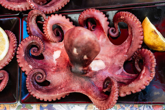 octopus tapa, Sicilian style, Ballar&ograve; Market - Albergheria Market -, Palermo, Sicily, Italy, Europe