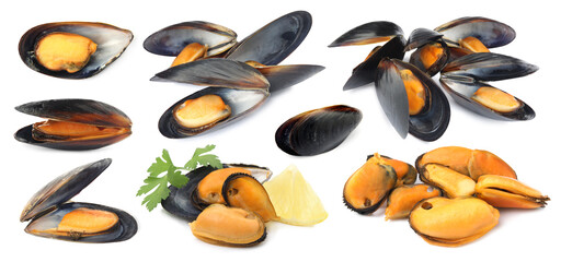 Fresh mussels isolated on white, collage. Sea food © New Africa
