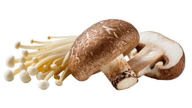 Fresh Shiitake Mushrooms and Enoki Mushrooms Arrangement