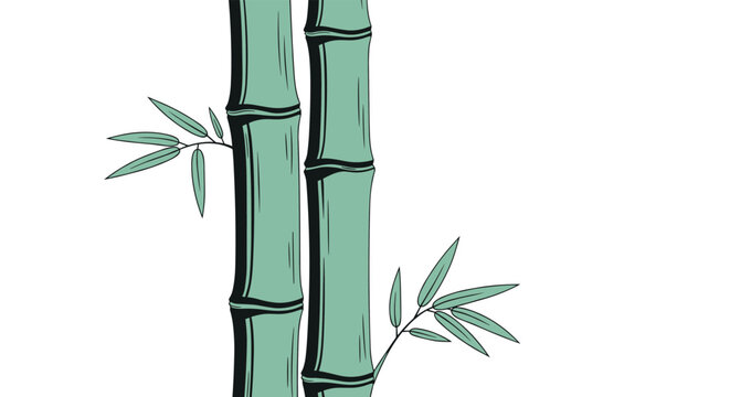 Two thick green bamboo stalks with delicate leaves grow upward against a plain white background in a clean vector style.