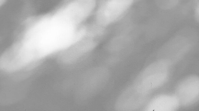 Natural blurred light and shadow overlay effect on white surface.