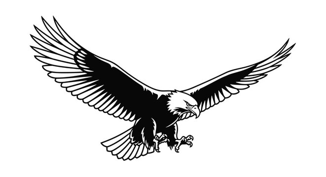 Powerful bald eagle in mid flight with its wings spread wide and talons ready in a detailed black and white illustration.