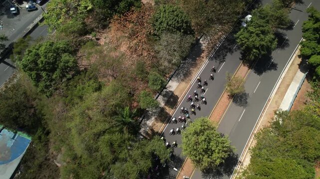 Drone top view following a massive peloton of cyclists riding on a paved road through a lush city park during a bright professional event