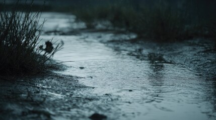 Obraz premium Rainwater pooling in a long, shallow puddle reflects the dark environment while drops create continuous ripples on the surface, with blurred grass lining the murky edge