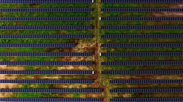 Aerial Top Down Static Sustainable Solar Panel Farm Grid and Symmetrical Photovoltaic Rows