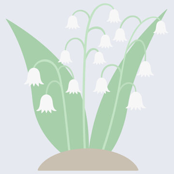 Lilies of the Valley. Delicate white flowers. Spring bells. Color vector illustration. Blooming plant with green leaves. Flat style. Isolated blue background. Bright Easter. Idea for web design, invit