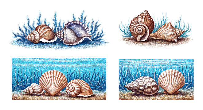 Collection of diverse seashells resting on sandy seabed with aquatic plants