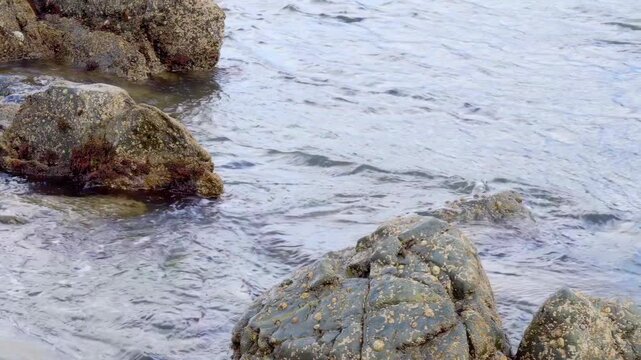 Sea water running in between rocks stock footage