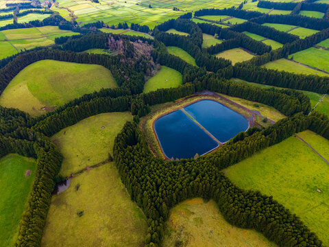 Aerial view of vibrant green pastures intricately patterned by dark tree lines, encircling a serene blue reservoir, Terceira, Azores, Portugal.