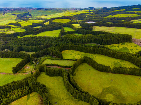 Aerial view of vibrant emerald fields sharply contrasted by winding ribbons of deep forest green, creating a stunning natural mosaic under a bright sky, Terceira, Azores, Portugal.