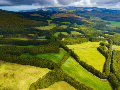 Aerial view of vibrant green agricultural fields bordered by dark emerald forests stretching towards distant misty mountains under a dramatic sky, Terceira, Azores, Portugal.