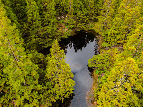 Aerial view of a tranquil, dark pool nestled amidst a vibrant canopy of emerald and lime green trees, reflecting the sky in its still surface, Terceira, Azores, Portugal.