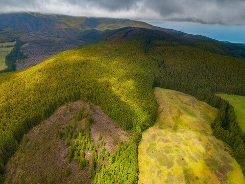 Aerial view of vibrant green forests sharply contrasting with textured clearings on hills under a cloudy sky, with the distant ocean, Terceira, Azores, Portugal.