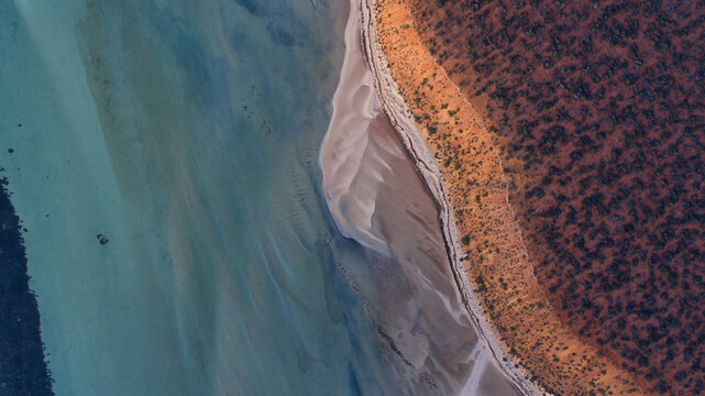Aerial view of a vibrant coastline where the deep teal waters meet the warm ochre earth, with intricate sandy patterns along the shallow shore, Denham, Western Australia, Australia.