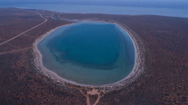 Aerial view of a serene oval lagoon, its deep sapphire waters cradled by a rugged ochre landscape under a soft twilight sky, Denham, Western Australia, Australia.