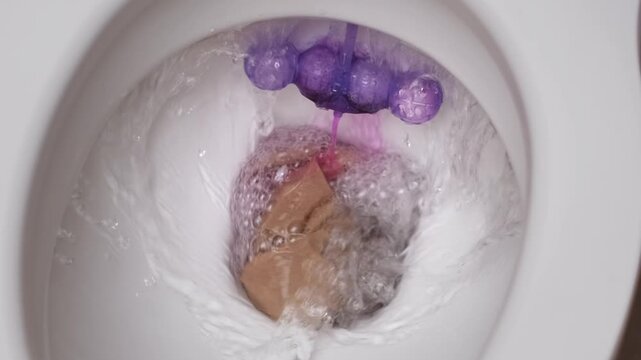 Top-down view of a white ceramic toilet bowl flushing water over brown paper towels with a purple rim block releasing fluid. Concept of bathroom hygiene, waste disposal, and household cleaning