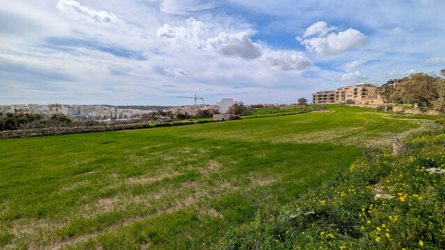Wide view of vibrant green meadow with yellow wildflowers in foreground, construction site and buildings under development visible behind, dramatic cloudy sky
