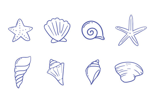 Cute coastal beach seashell doodle outline hand drawn style design. Vector