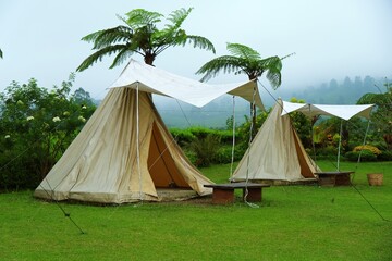 Glamping tents set in lush tropical garden, showcasing outdoor accommodation, eco tourism, and peaceful nature lifestyle. © ROHE Creative Studio