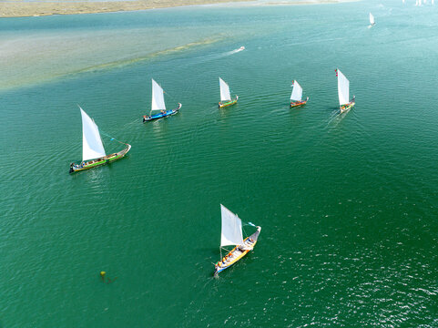 Aerial view of traditional moliceiro boats with bright white sails gliding across the vibrant emerald waters, Torreira, Aveiro District, Portugal.