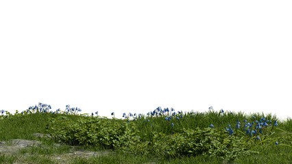 Obraz premium Blue flowers bloom in a green field with grass and rocks. sky is clear and bright. This scene shows nature during the afternoon with no people present. 3d render