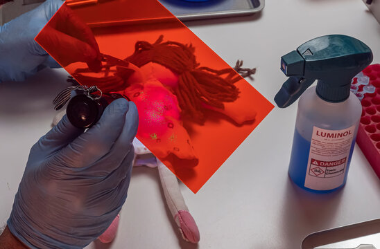 Forensic police are analyzing DNA from a doll linked to a homicide at a scientific laboratory