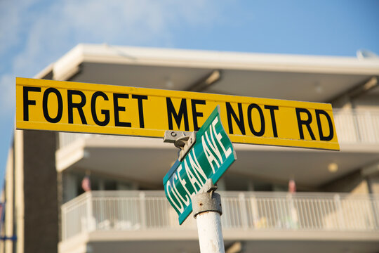 Forget Me Not Route Sign at Roadside Intersection