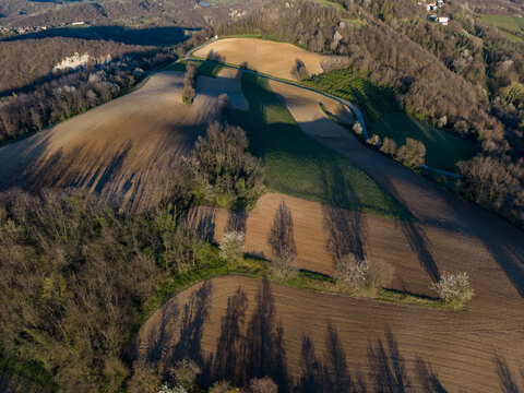 Aerial view of undulating hills, a contrasting patchwork of warm earth and vibrant green fields, with long shadows from trees, Tortona, Piedmont, Italy.