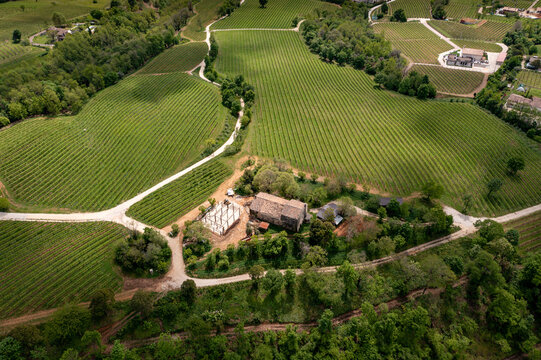 Aerial view of lush green vineyards stretching across rolling hills, punctuated by rustic farm buildings and winding paths, Tortona, Piedmont, Italy.