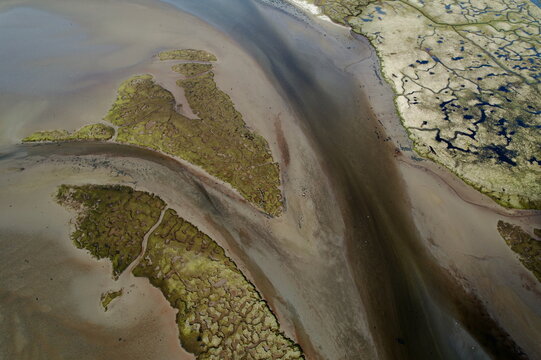 Aerial view of winding dark water channels cutting through textured green marshland and light brown mudflats, Lochgilphead, Scotland, United Kingdom.