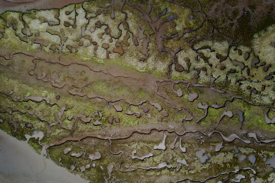Aerial view of winding dark water channels contrasting with bright green marshland and pale sandy patches, Lochgilphead, Scotland, United Kingdom.
