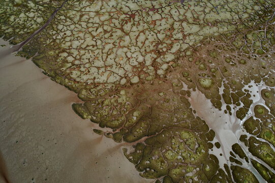 Aerial view of intricate, organic patterns of dark green vegetation and light brown mud contrasting with frothy white water, Lochgilphead, Scotland, United Kingdom.